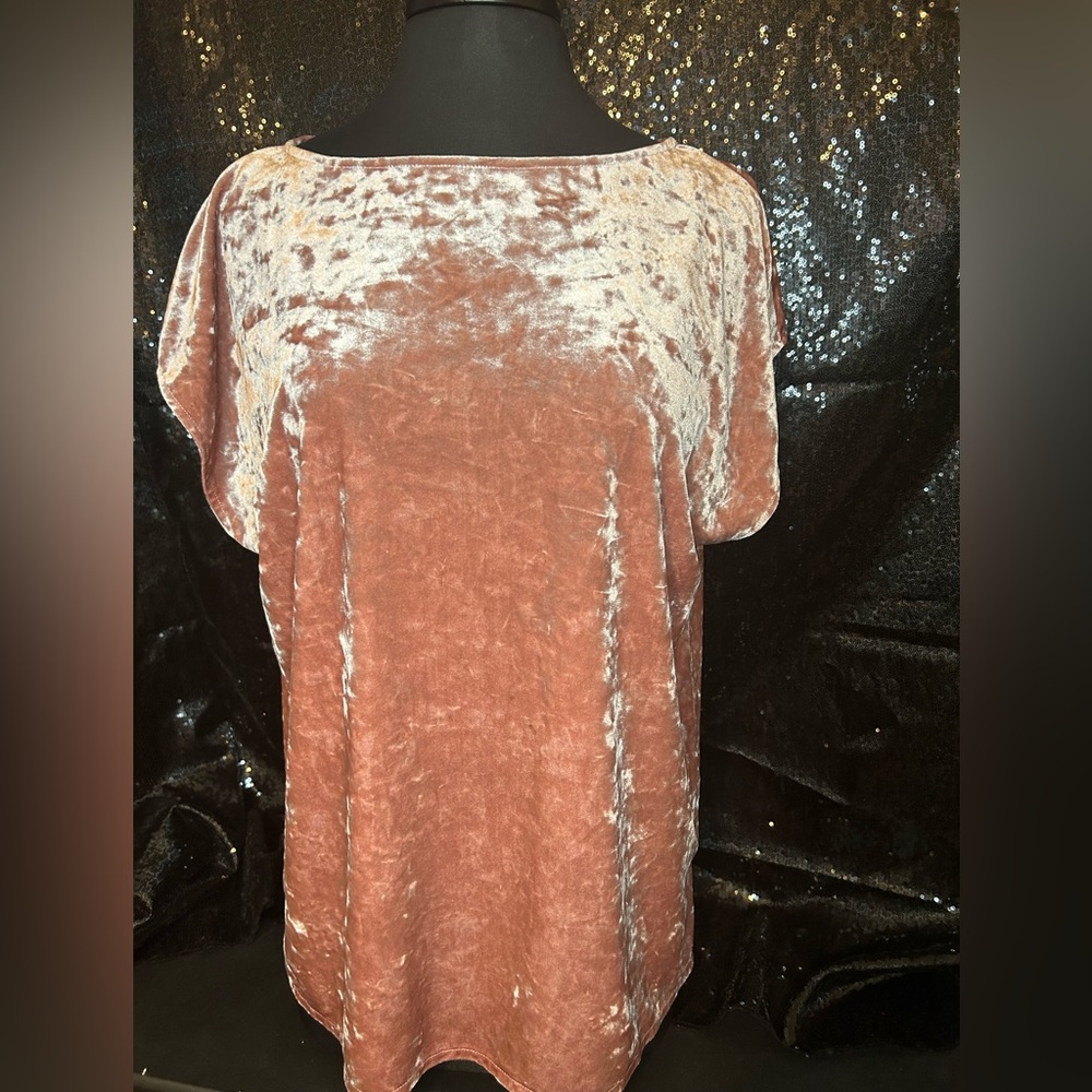 🔥🚨😍🛍️ Blush Pink Velvet Vince Camino blouse